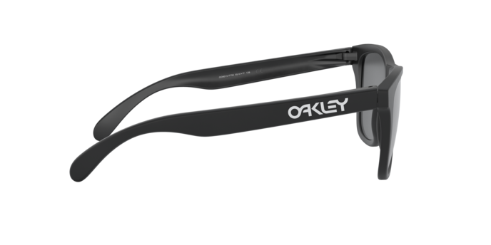 OAKLEY OO9013 Sunglass