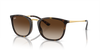 RAY-BAN RB4409I Sunglass