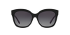 COACH HC8264 Sunglass online in India – stylish designer eyewear