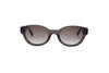 Lacoste Sunglass