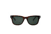 POLORIOD 6206 Sunglasses | Premium branded sunglasses | SpecsBunker India |luxury sunglasses online in India