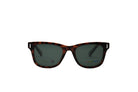 POLORIOD 6206 Sunglasses | Premium branded sunglasses | SpecsBunker India |luxury sunglasses online in India