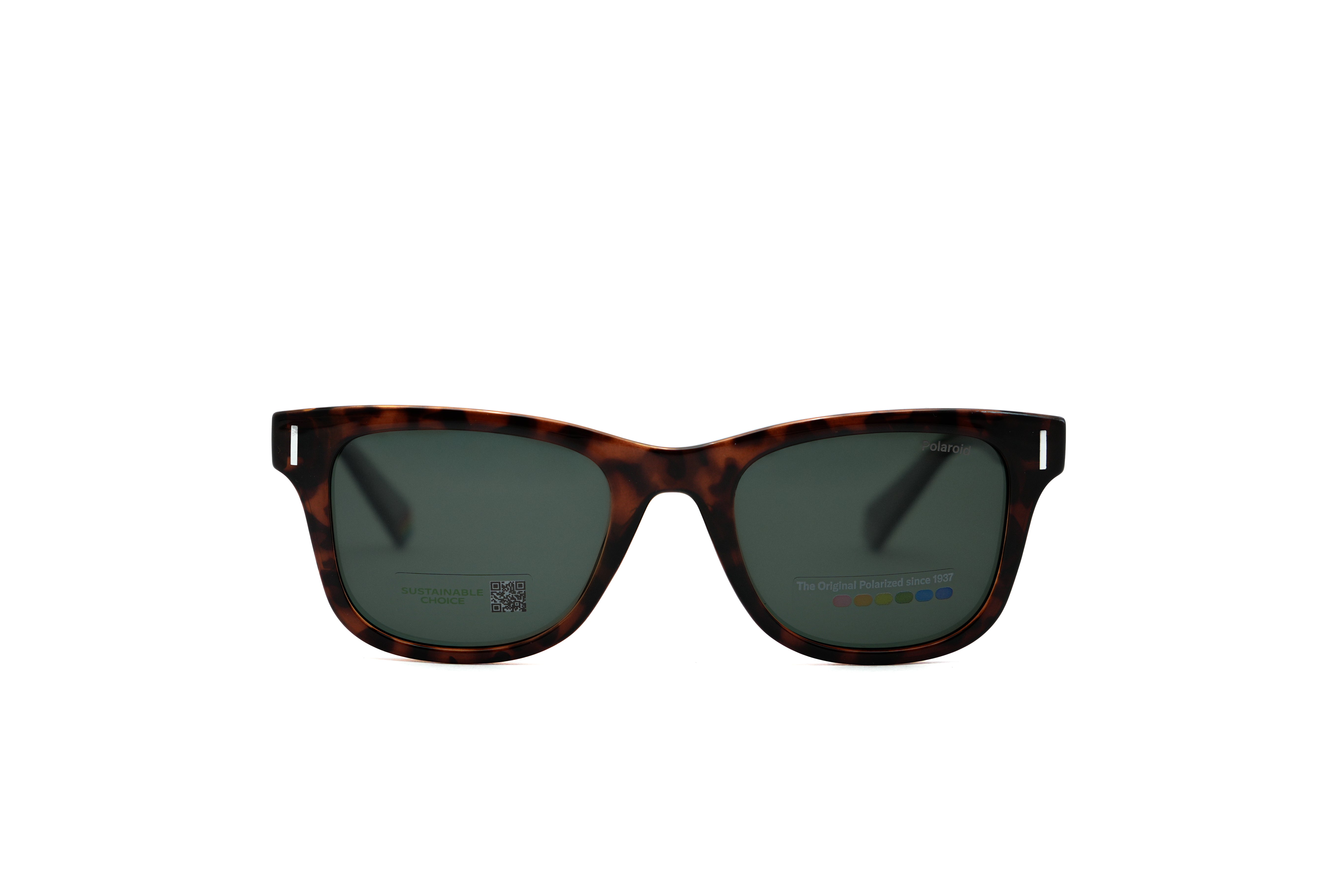 POLORIOD 6206 Sunglasses | Premium branded sunglasses | SpecsBunker India |luxury sunglasses online in India