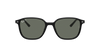 Ray-Ban Sunglasses