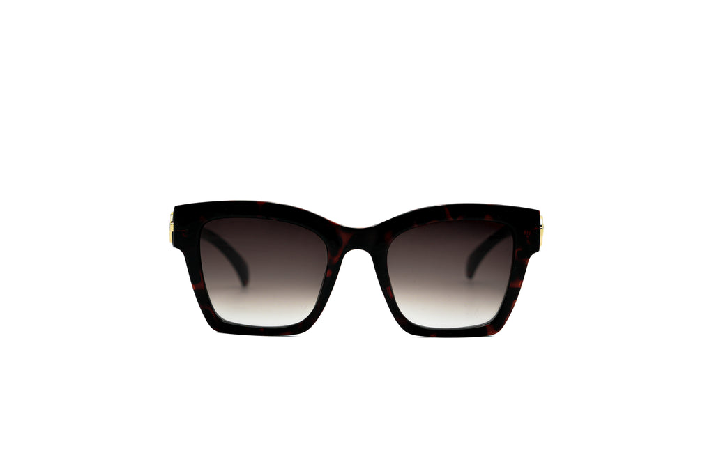 SCOTT SC3165 Sunglass