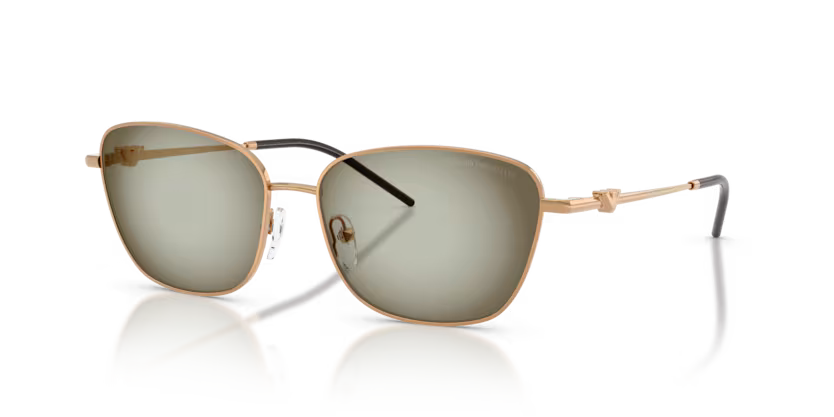 EMPORIO ARMANI EA2170 Sunglass