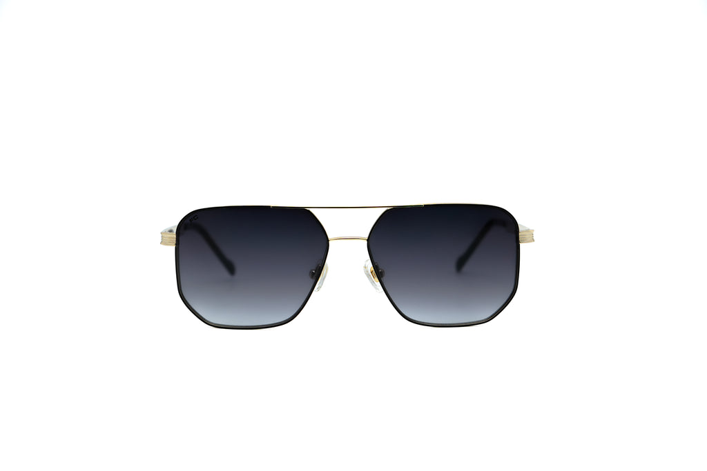 FRENCH CONNECTION FC7697 Sunglass