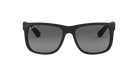 Ray-Ban Sunglasses
