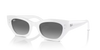 RAY-BAN RB4430 Sunglass