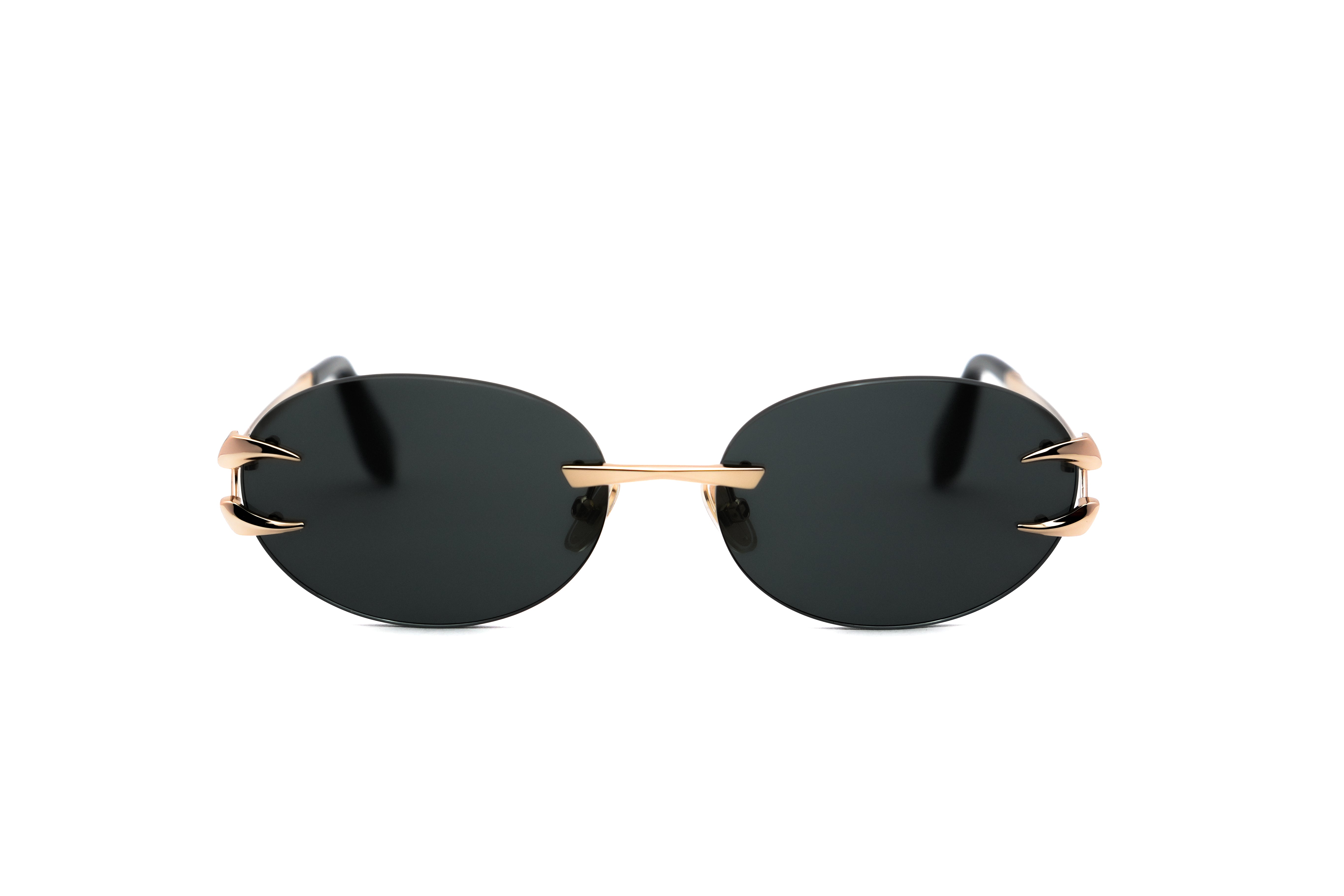 ROBERTO CAVALLI SRC182 Sunglass