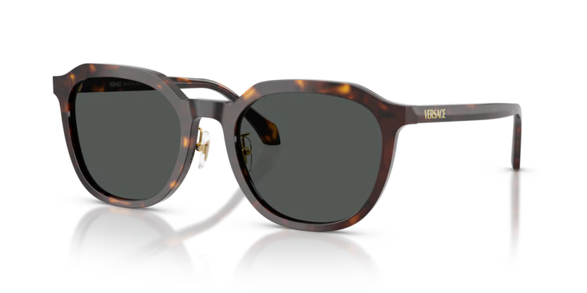 VERSACE VE4493D Sunglass