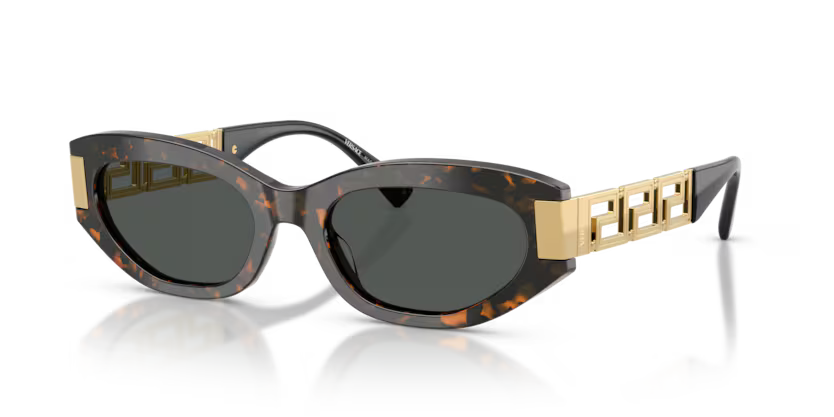 VERSACE VE4501 Sunglass