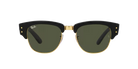 Ray-Ban Sunglasses
