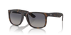 RAY-BAN RB4165 Sunglass
