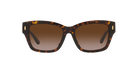 TORY BURCH TY7167U Sunglass | Luxury designer eyeglasses | SpecsBunker India | designer optical eyewear