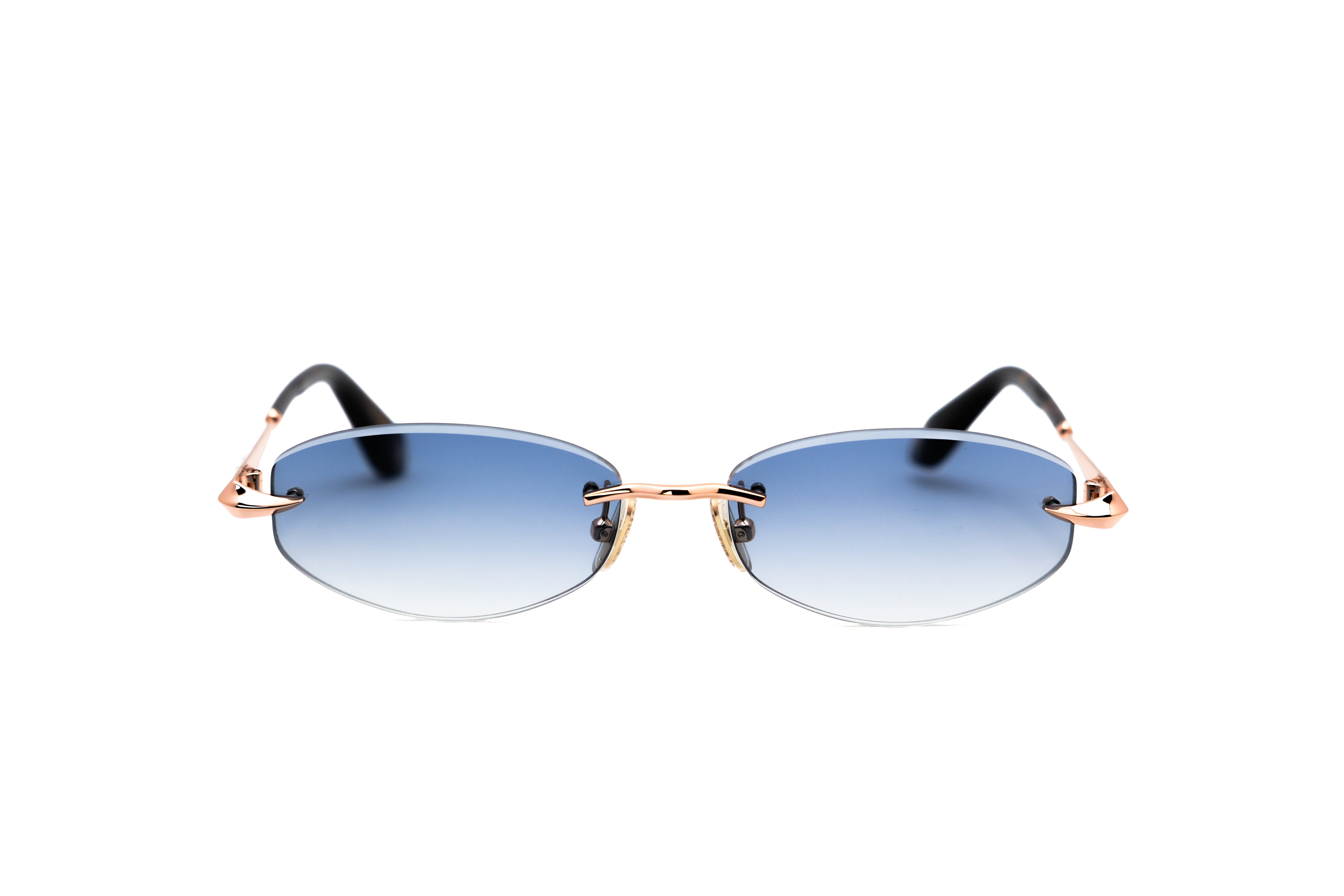 ROBERTO CAVALLI SRC207M Sunglass