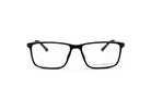 French Connection Optical Frames