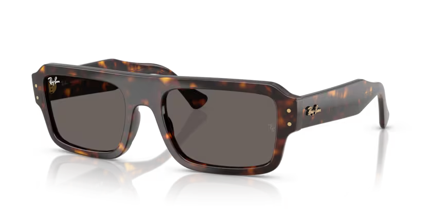 RAY-BAN RB4454 Sunglass