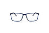 French Connection Optical Frames