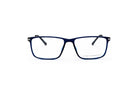 French Connection Optical Frames
