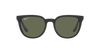 Ray-Ban Sunglasses