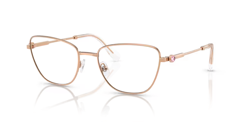 SWAROVSKI SK1018 Optical Frame