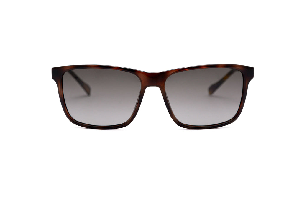 HUGO BOSS HG 0163/S Sunglasses