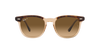 Ray-Ban Sunglasses