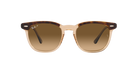 Ray-Ban Sunglasses