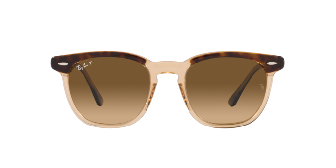 Ray-Ban Sunglasses