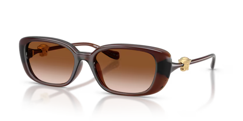 VERSACE VE4504D Sunglass