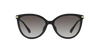 MICHAEL KORS MK2184U Sunglass