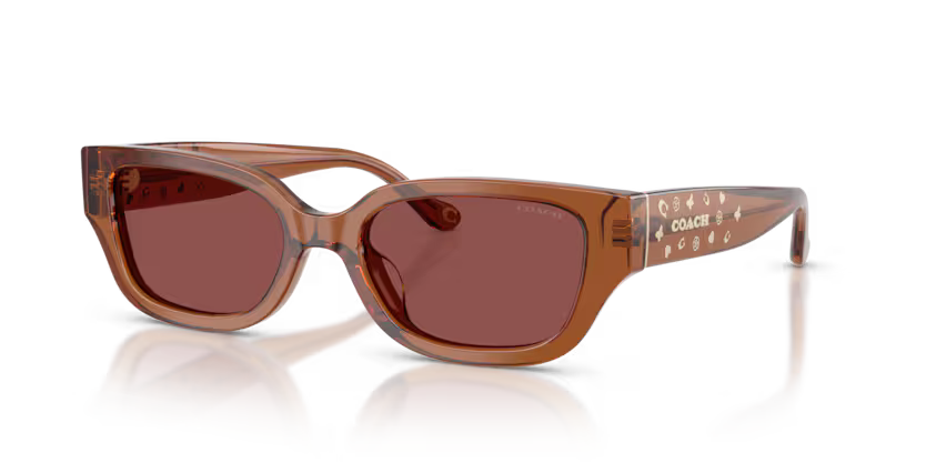 COACH HC8439U Sunglass online in India – stylish designer eyewear