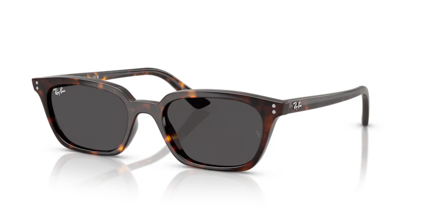 RAY-BAN RB4456 Sunglass