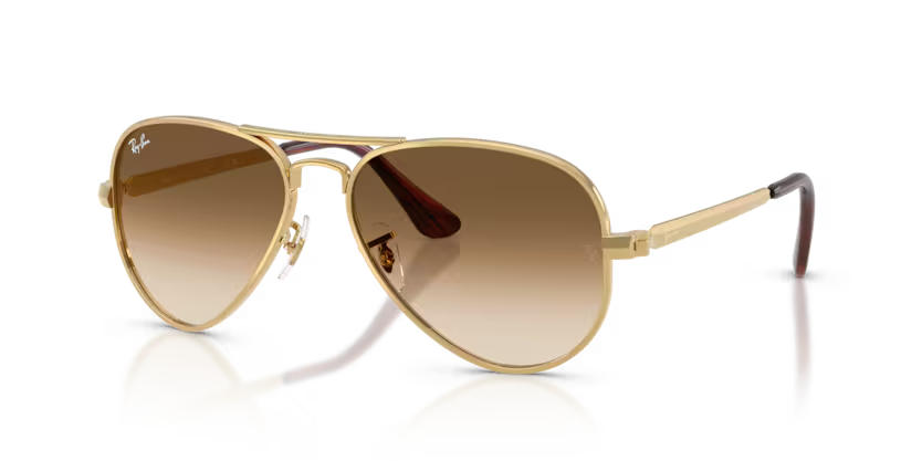 RAY-BAN RB3925 Sunglass
