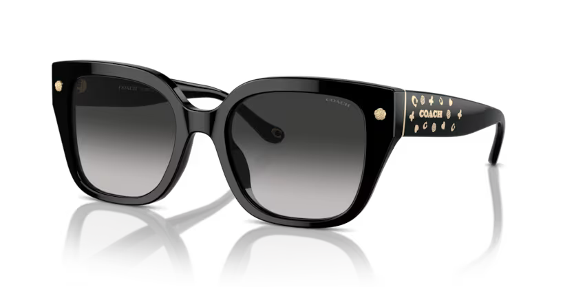 COACH HC8392U Sunglass online in India – premium sunglasses for men and women