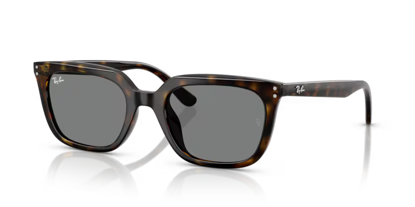 RAY-BAN RB4439D Sunglass
