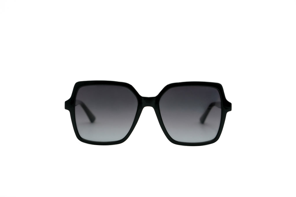 CALVIN KLEIN CK25537 Sunglass