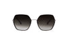 CALVIN KLEIN CK21131S Sunglass