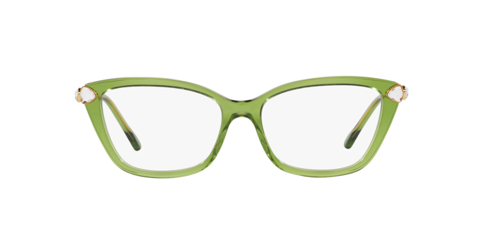 SWAROVSKI SK2011 Optical Frame