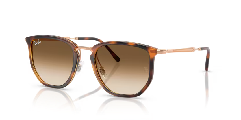 RAY-BAN RB4451 Sunglass