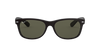 RAY-BAN RB2132 Sunglass