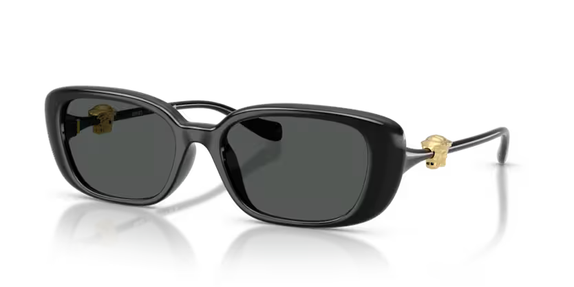 VERSACE VE4504D Sunglass