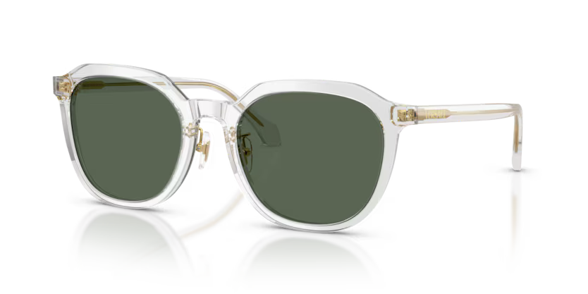 VERSACE VE4493D Sunglass