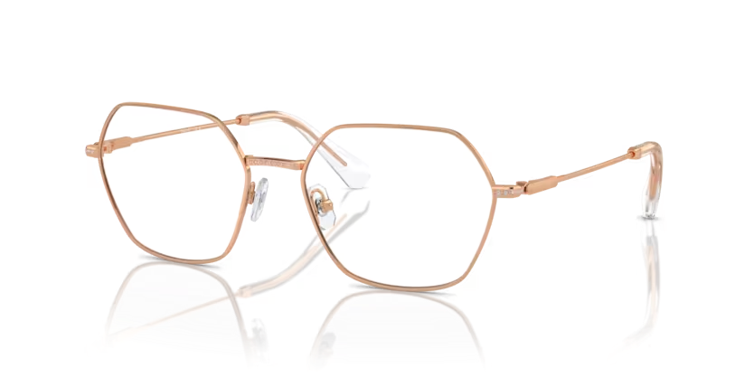 SWAROVSKI SK1011 Optical Frame
