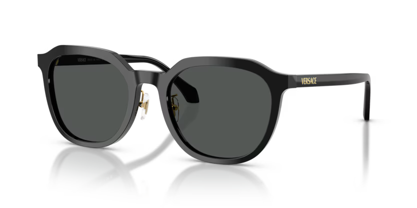 VERSACE VE4493D Sunglass