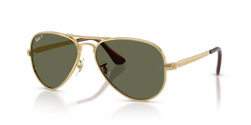 RAY-BAN RB3925 Sunglass