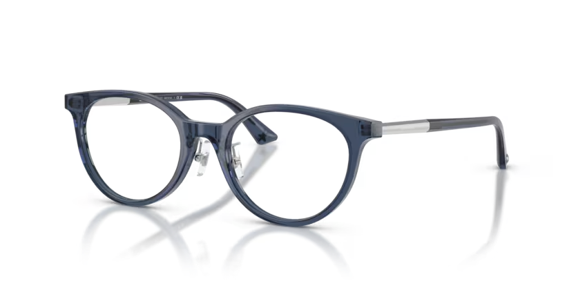 JIMMY CHOO JC3039D Optical Frame