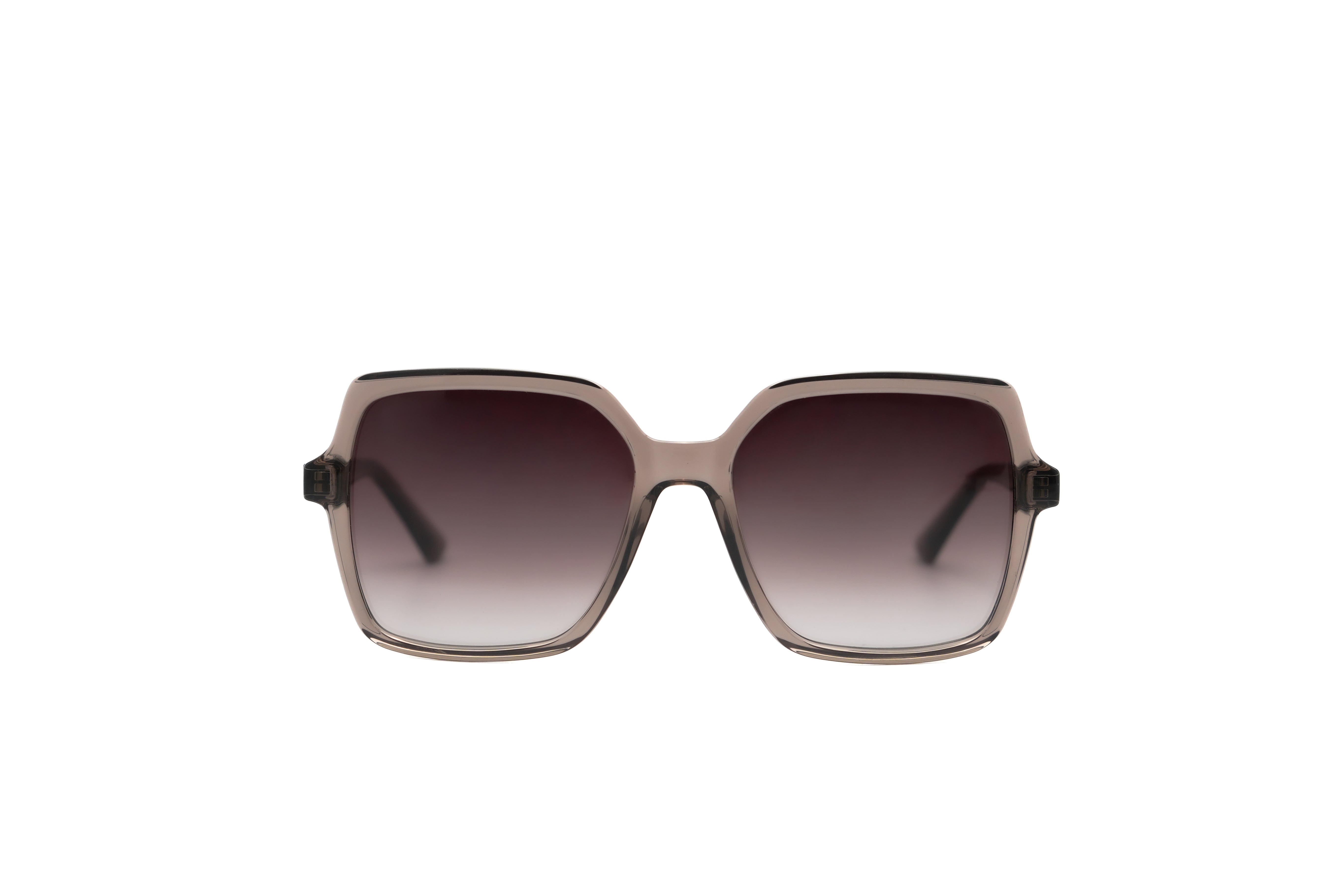 CALVIN KLEIN CK25537 Sunglass