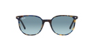 Ray-Ban Sunglasses